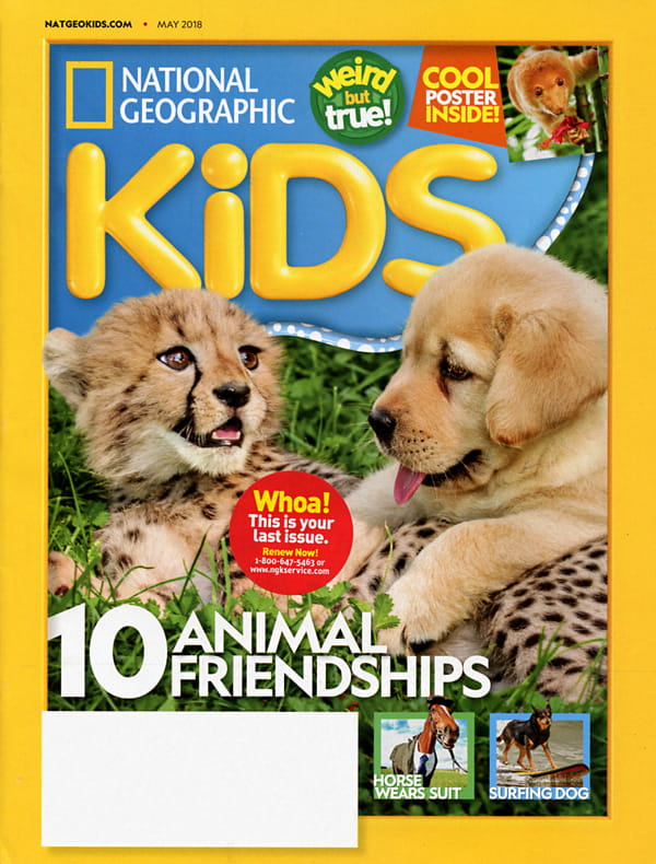 National Geographic Kids Magazine | National Geographic Kids Magazine ...