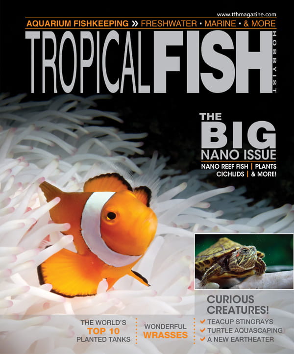 Tropical Fish Hobbyist MagazineLine Deal   CHN TropicalFish 170101.ashx